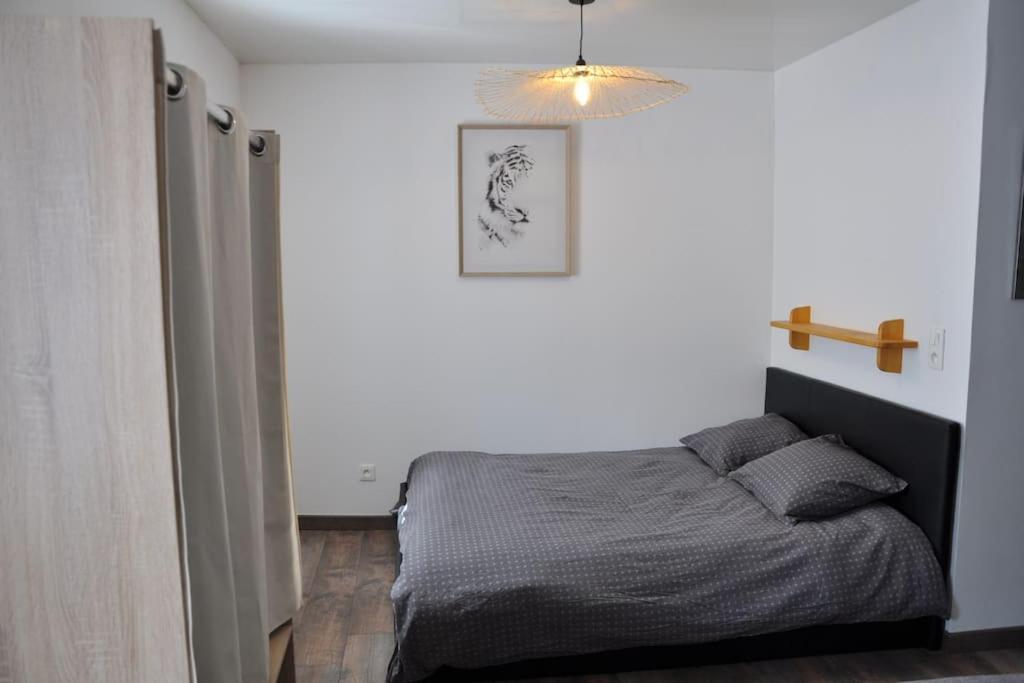 Le Studio Du Tanneur Selestadien Sélestat Exteriör bild