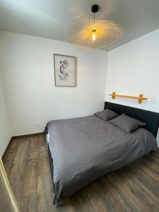 Le Studio Du Tanneur Selestadien Sélestat Exteriör bild