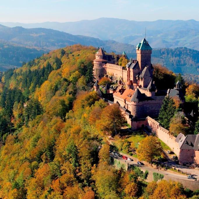 Le Studio Du Tanneur Selestadien Sélestat Exteriör bild